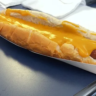 a hot dog covered in cheese