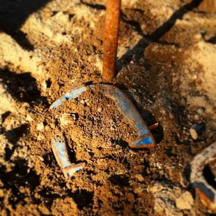 Playing horseshoe