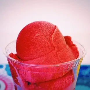 Pure Strawberry Sorbetto- all natural; gluten free; vegan; dairy free; soy free