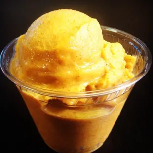 Spiced Pumpkin Sorbetto- never any artificial ingredients; always gluten, soy and dairy free. Seasonally available