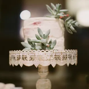 a cake with succulents on top