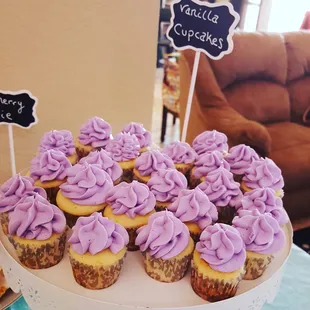 cupcakes with purple frosting