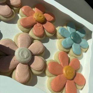 Iced daisy cookies