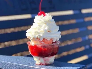 Handel's Homemade Ice Cream-Twinsburg