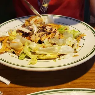 Salad (no dressing )