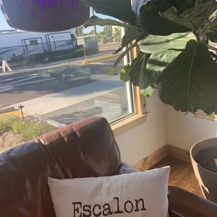 Interior of sign and cute pillow