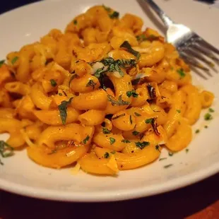 Penne pasta