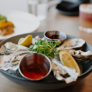 Oysters