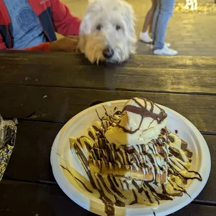 "Can I just taste it a bit" look on my dog's face