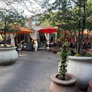 Outside dining