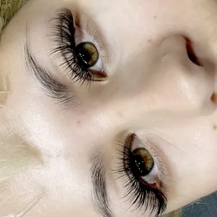 Wispy Lashes
