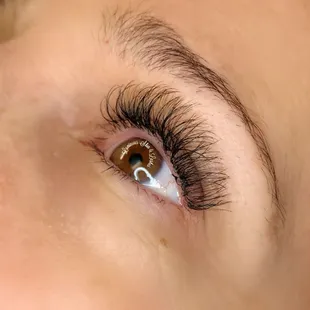 Volume Lashes