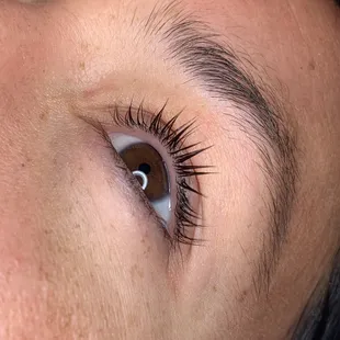 Lash Lift