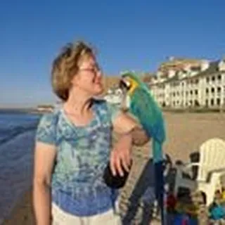 Debbie C.
