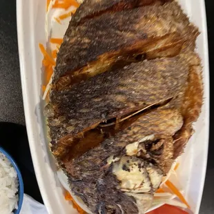 Tilapia