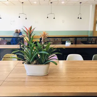 interior, sushi and sashimi