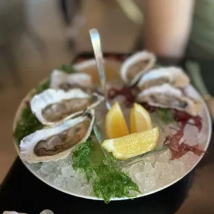 shellfish, oysters, oysters and mussels, food, mussels