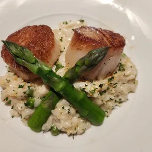 Scallop Risotto