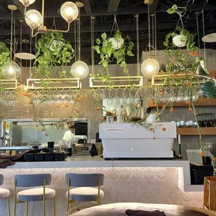 Bar Area