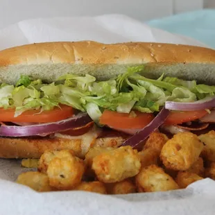 Italian Sub with Luna Tots