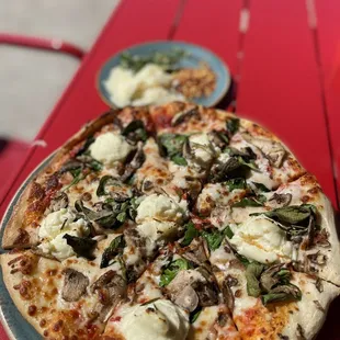 Mushroom Pizza