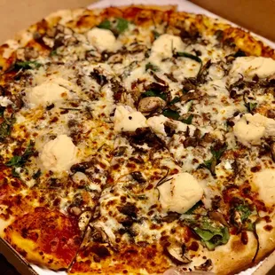 Mushroom pizza