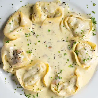 Tortellacci
