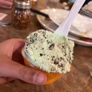 Chocolate Mint gelato