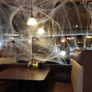 webs hanging from the ceiling