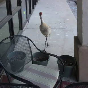 Was there before, during and after dinner, but wasn&apos;t any bother