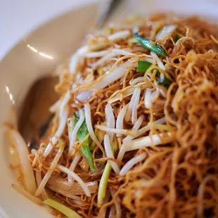 Pan Fried Noodles with Soy Sauce