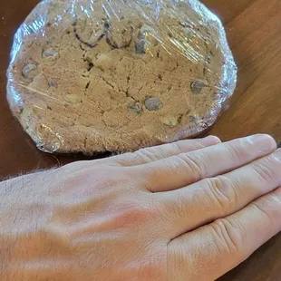 Humongous chocolate chip cookie