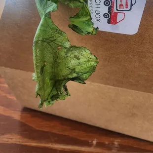 1 thin, dead piece lettuce