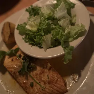 Salmon with green salad