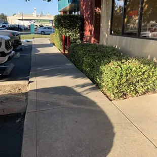 ramen and noodles, outside