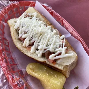 Sonoran dog