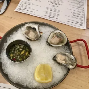 Oysters