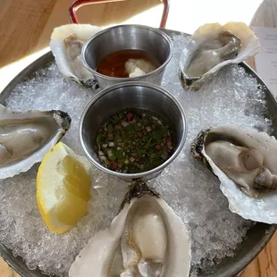 Oysters