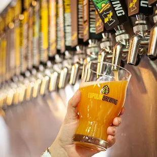 a person holding a glass of beer