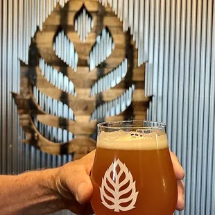 a hand holding a glass of beer