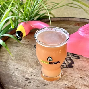 Flamingos in a Flock of Pigeons