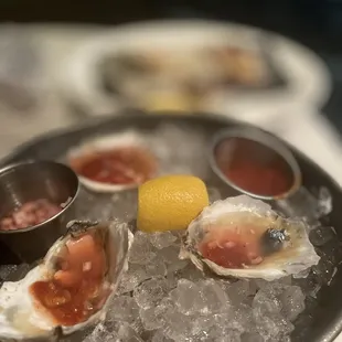 Raw Chesapeake oysters