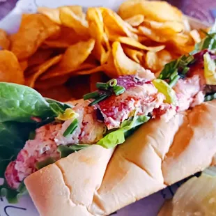 Lobster Roll