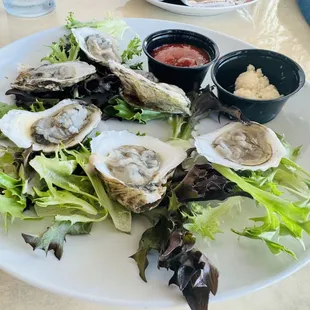 Oysters