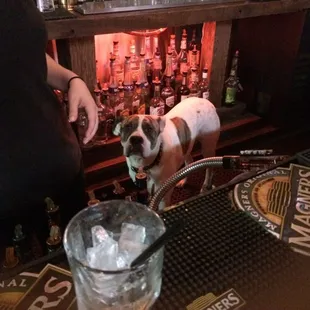 This bartender