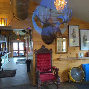 The moose is on the loose, right above the King's throne