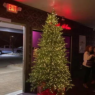 a lighted christmas tree in front of a door