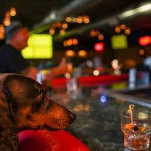 "Fill'er up, bartender." An awesome pet friendly establishment.  @coreyd123 on IG