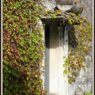 David: if you want your wines featured in the next "Sideways,"  better work it out with Trefethen, Hess, &amp; Bedrock Wine Co. first.