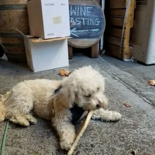 There's wine here, too.